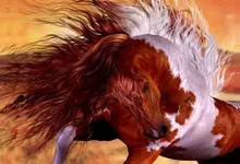 animals horses 2000x1500 wallpaper Art HD Wallpaper